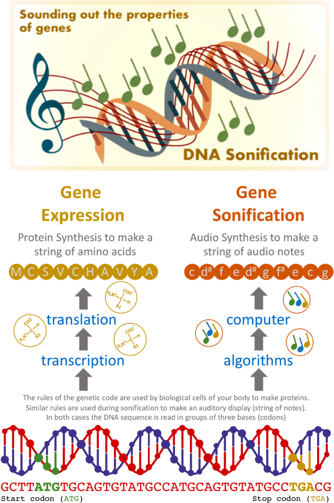 Dr Temple States, “this Is Not Meant To Be Music It's - Graphic Design (718x1024), Png Download
