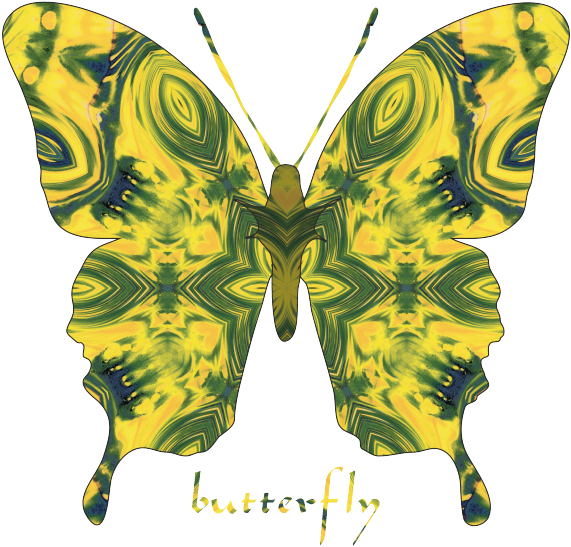 Star Butterfly - Papilio Machaon (600x600), Png Download
