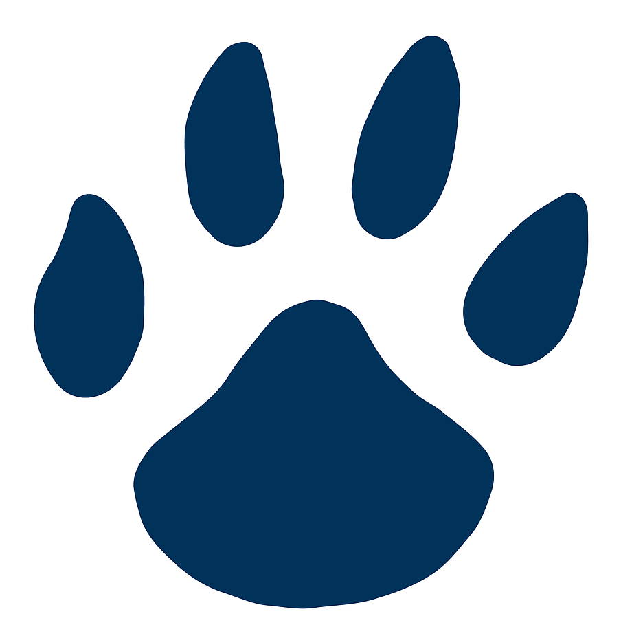 Come Support The Milford Tigers Baseball Club And Play (924x924), Png Download