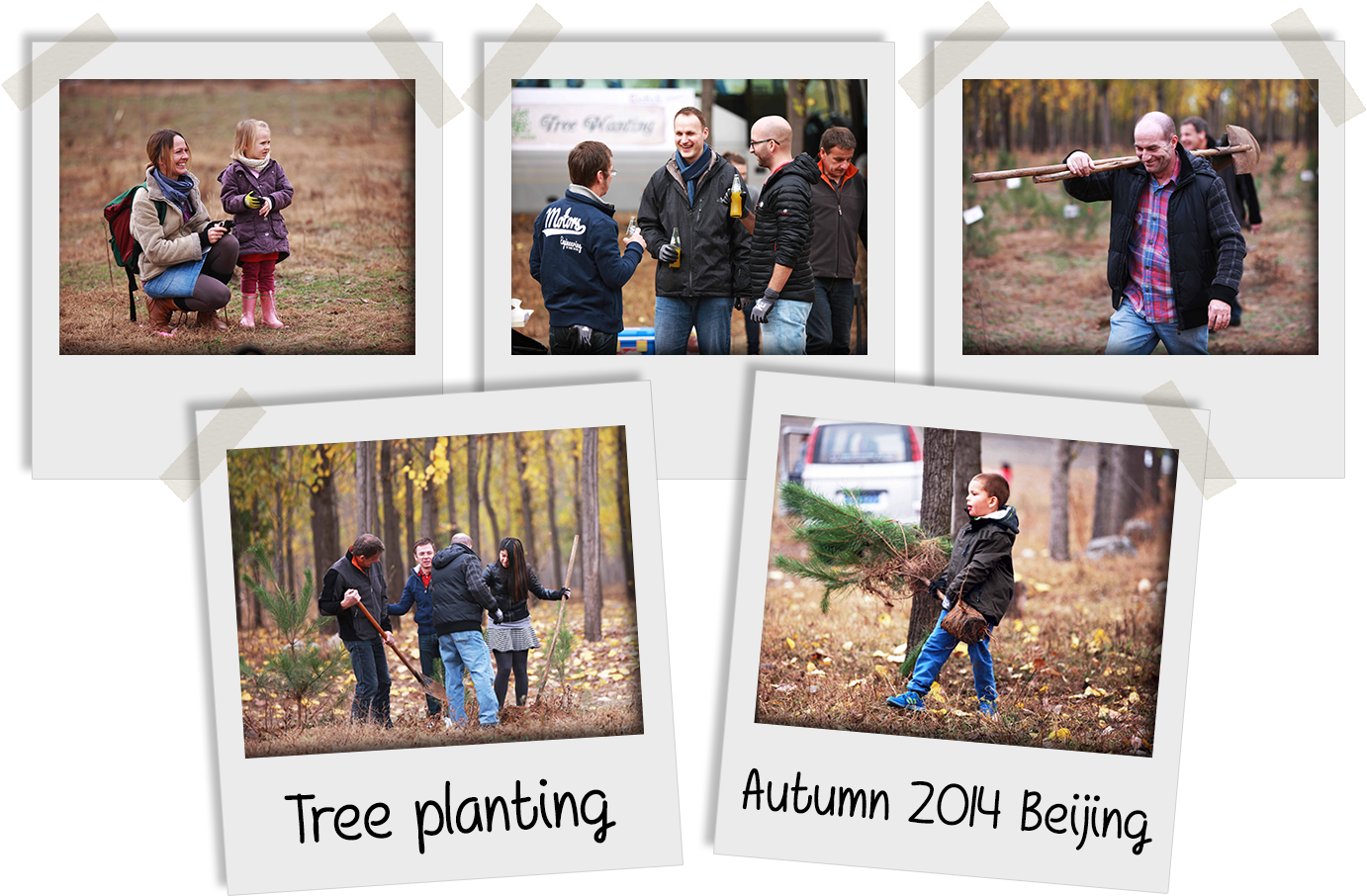 Newsletter 5 Polaroids - Photograph (1410x925), Png Download