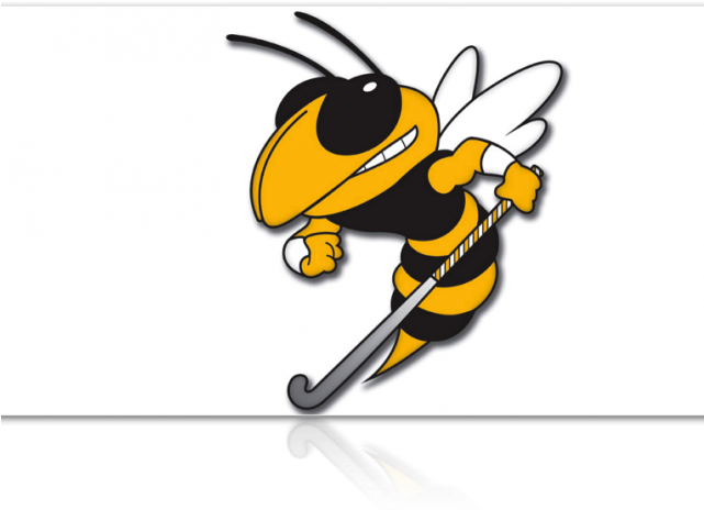 Hornet Clipart Georgia Tech - Lookout Valley Yellow Jackets (640x480), Png Download