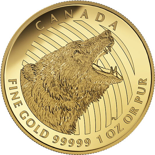 Canada 200 Dollars Gold Coin 2016 Roaring Grizzly Bear - Antofagasta International School Logo (570x570), Png Download