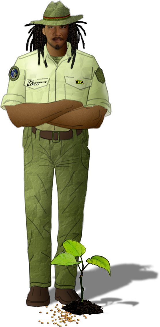 Origin/authentication Greetings To You From The Caribbean - Soldier (563x1157), Png Download