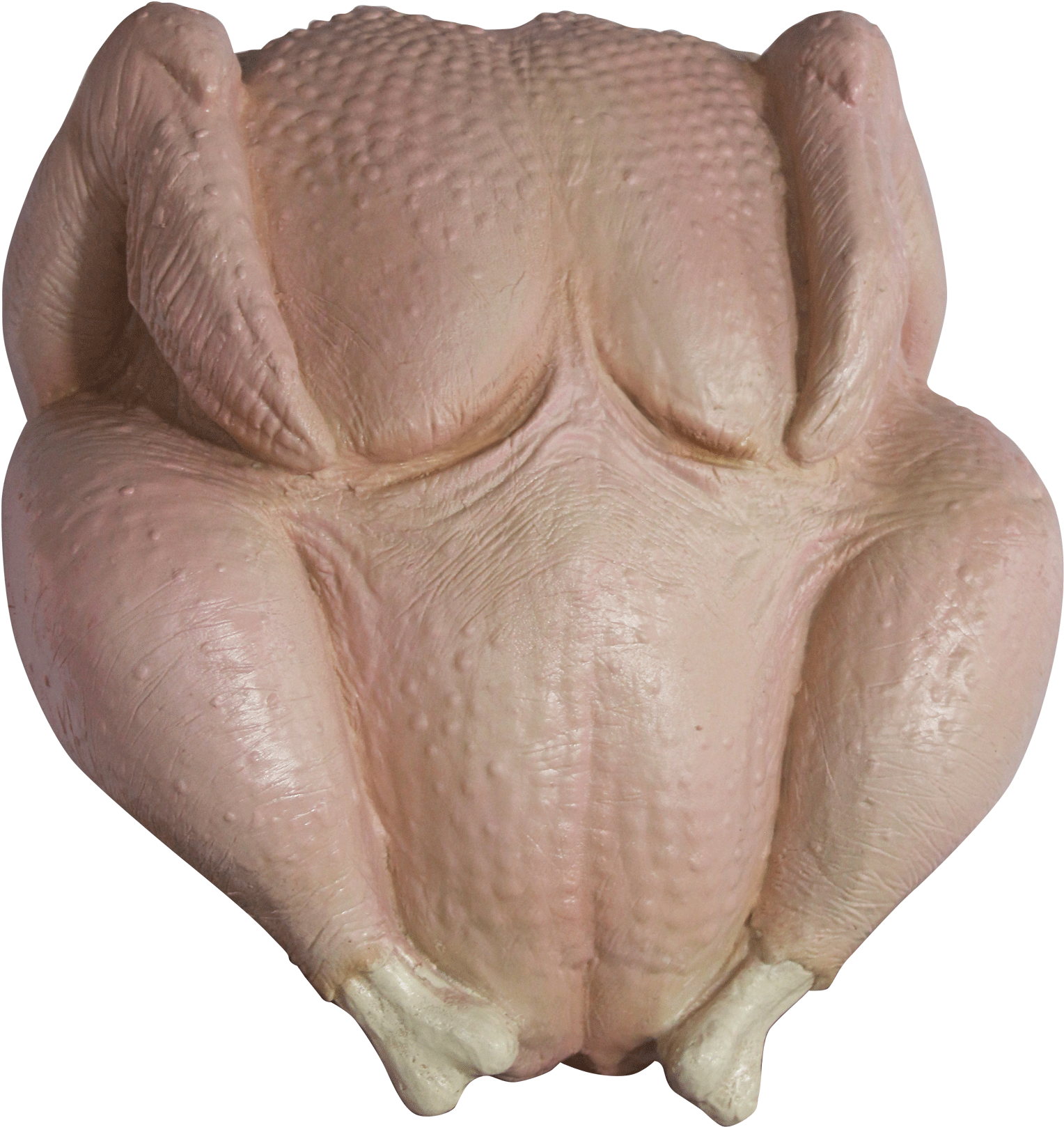 Raw Turkey Mask - Turkey Friends Mask (1558x1633), Png Download