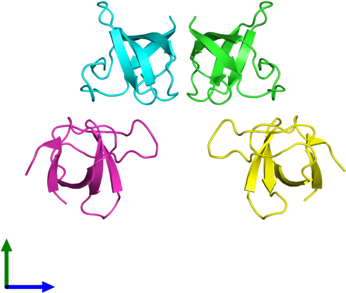 Pdb 1csk Coloured By Chain And Viewed From The Front - Fête De La Musique (800x800), Png Download