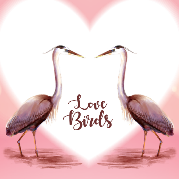 Love Birds - Great Blue Heron (618x618), Png Download