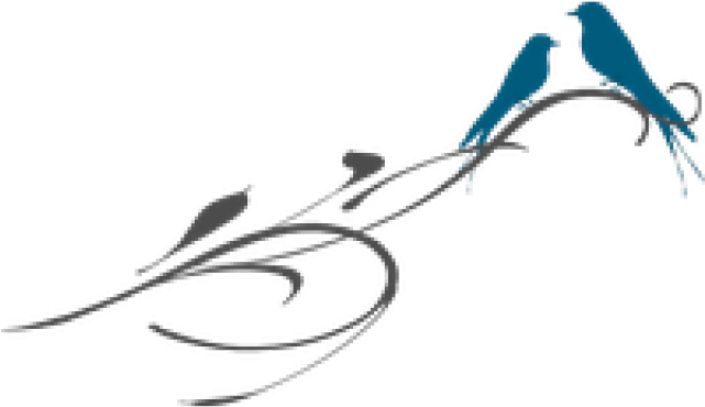 Png Love Birds (640x480), Png Download