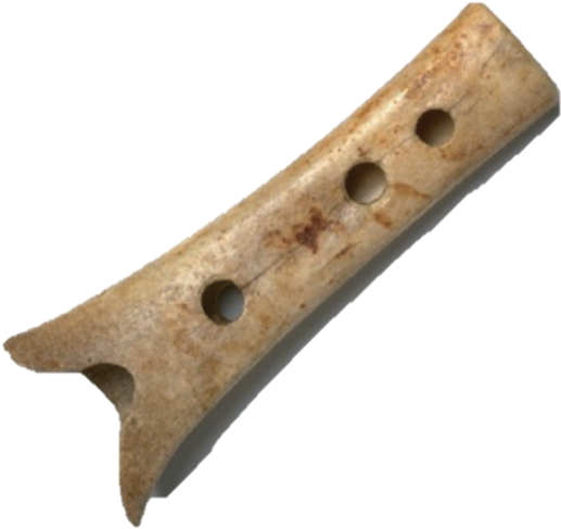Delightfully, They Also Report On Making A Replica - Bird Bones Flute Png (576x585), Png Download