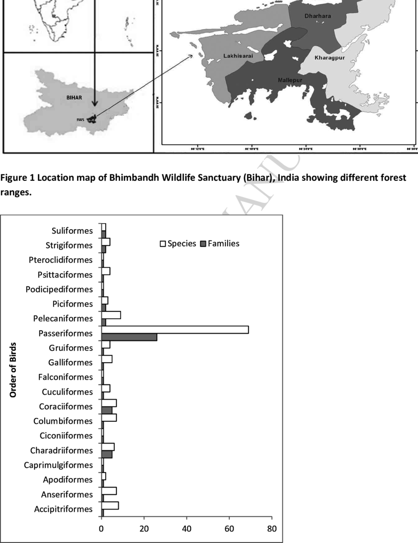 Avian Community Composition Of Bhimbandh Wildlife Sanctuary, - Diagram (850x1102), Png Download
