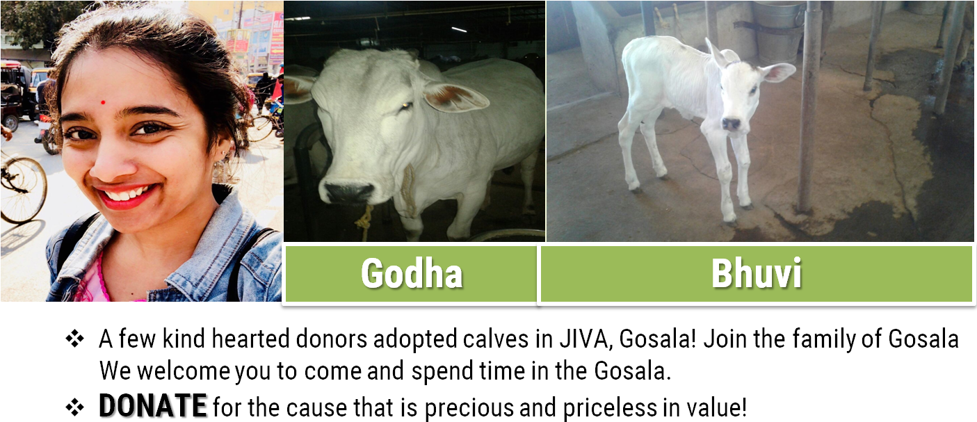 Social Media - Calf (1405x620), Png Download