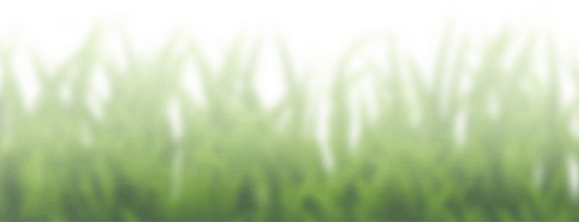 Dyrelykke - Grass (2000x1201), Png Download