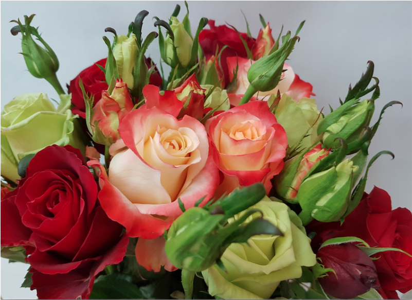 Xmas Victorian Bouquet Exclusive Collection Of Roses - Rose Flowers Collection (800x800), Png Download