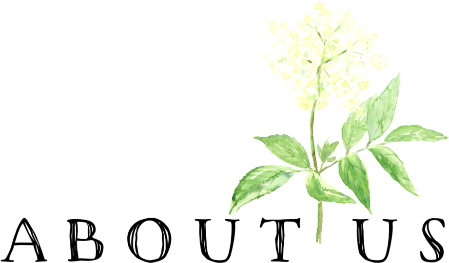 Elder Farm About Us - Rosa Glauca (1000x574), Png Download