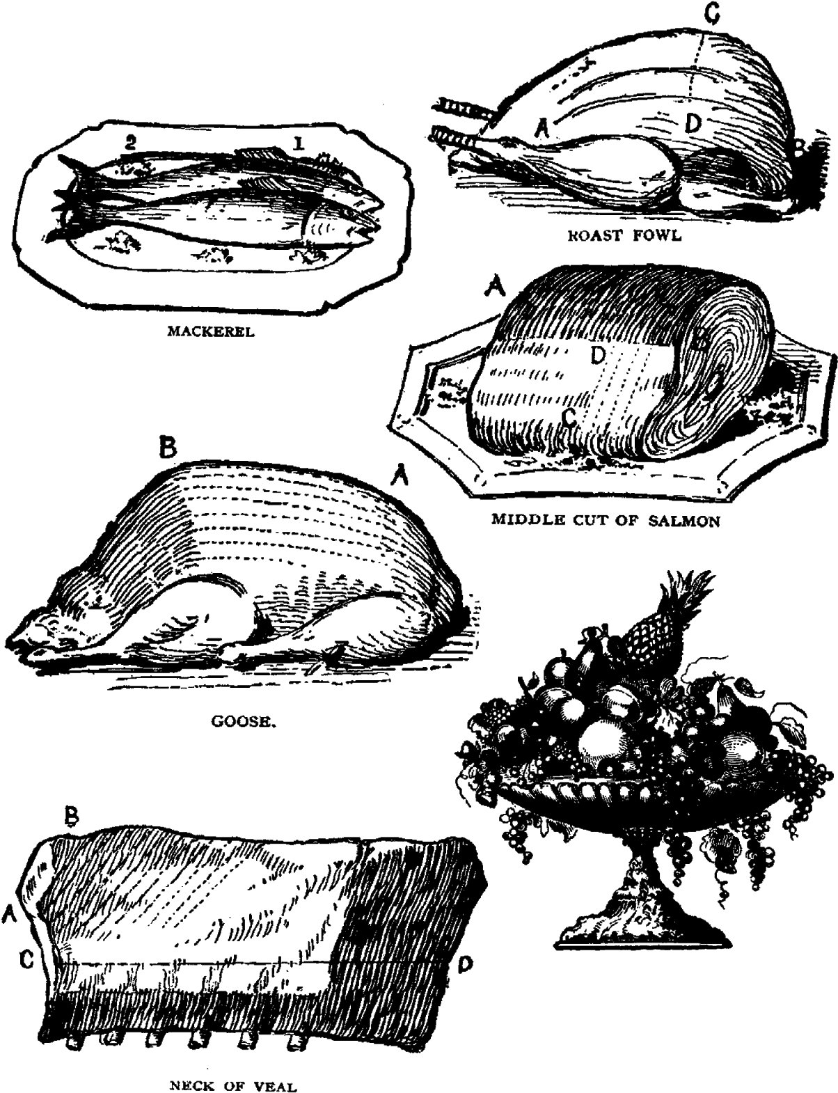 Printable Food Collage Sheet Download Meat Fish Fruit - Sketch (1237x1600), Png Download