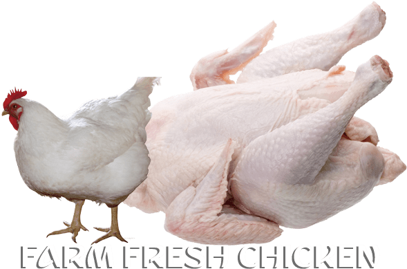 Online Fish In Thrissur,online Meat In Thrissur,online - Broiler Chicken No Background (640x480), Png Download