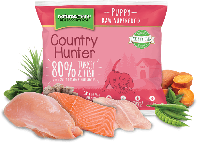 Ch Superpuppy Xl - Country Hunter Hond (700x700), Png Download