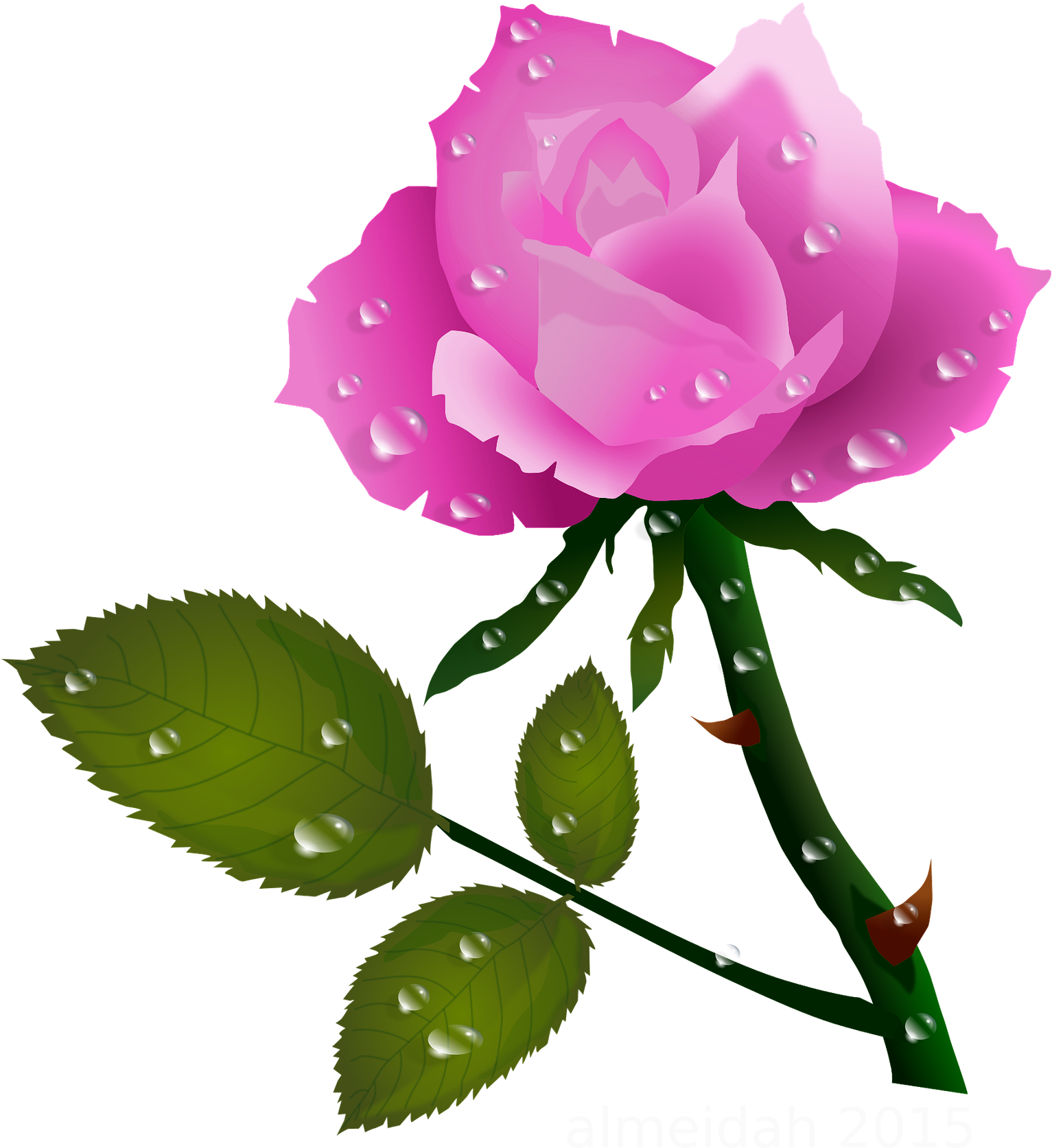 Pink Rose With Water Drops X Clip - Rosas Png (1920x1920), Png Download