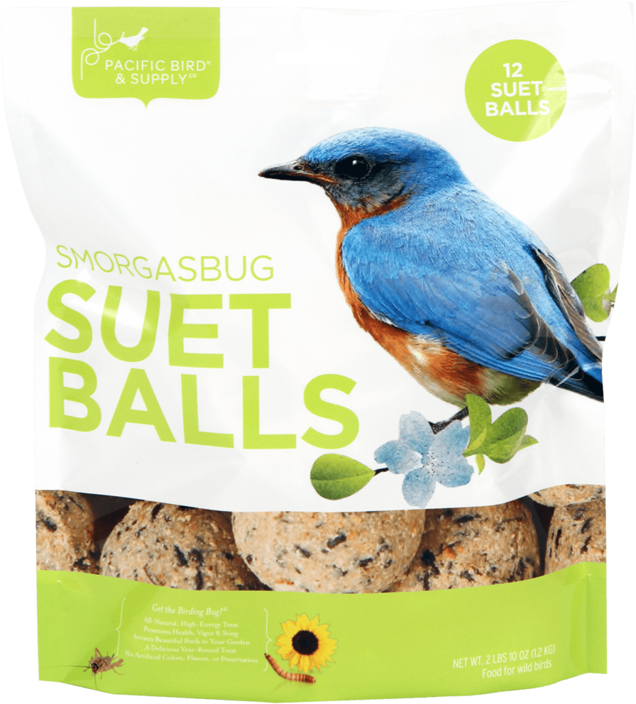 Pb-0103 - Mountain Bluebird (1000x1053), Png Download