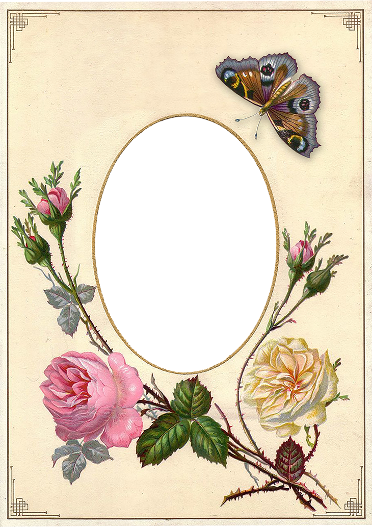 Wings Of Whimsy - Mujer Anciana (730x1033), Png Download