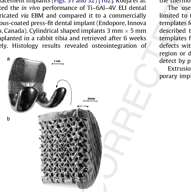 Co 29cr 6mo Femoral Prototype With Mesh Structure Produced - Monochrome (790x797), Png Download