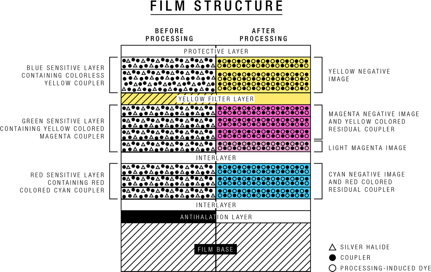 Image In The Emulsion (chemical Mixture) On The Strip - Diagram (1500x992), Png Download