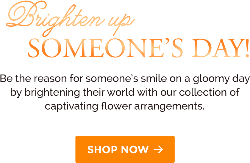 Order Flowers Online In Sri Lanka, Send Gifts In Sri - Willkommen Auf Meiner Seite (1080x785), Png Download