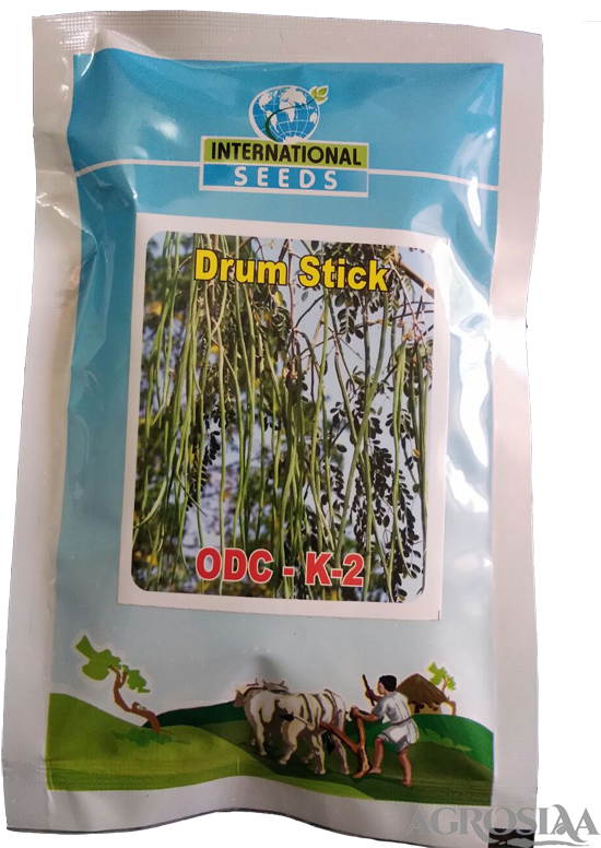 International - Grass (567x794), Png Download