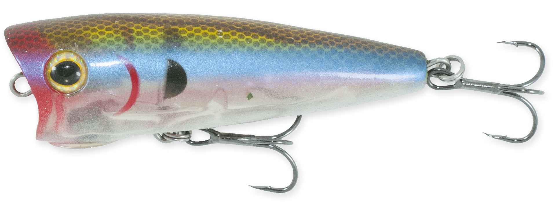 Bloody Ghost Minnow - Bait Fish (2016x770), Png Download