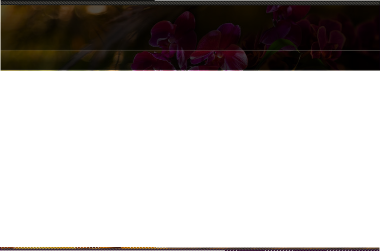 Massagezentrum Oberdorfstrasse 35 3612 Steffisburg - Rose (762x505), Png Download