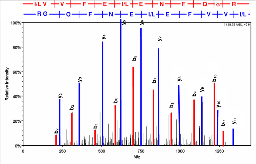 The Final Identified Spectrum - Diagram (850x545), Png Download