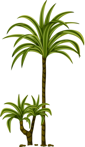 Tree Leaves, Tree Branches, Tree Drawings, Craft Images, - Feuille De Palmier Tube Psp (291x500), Png Download