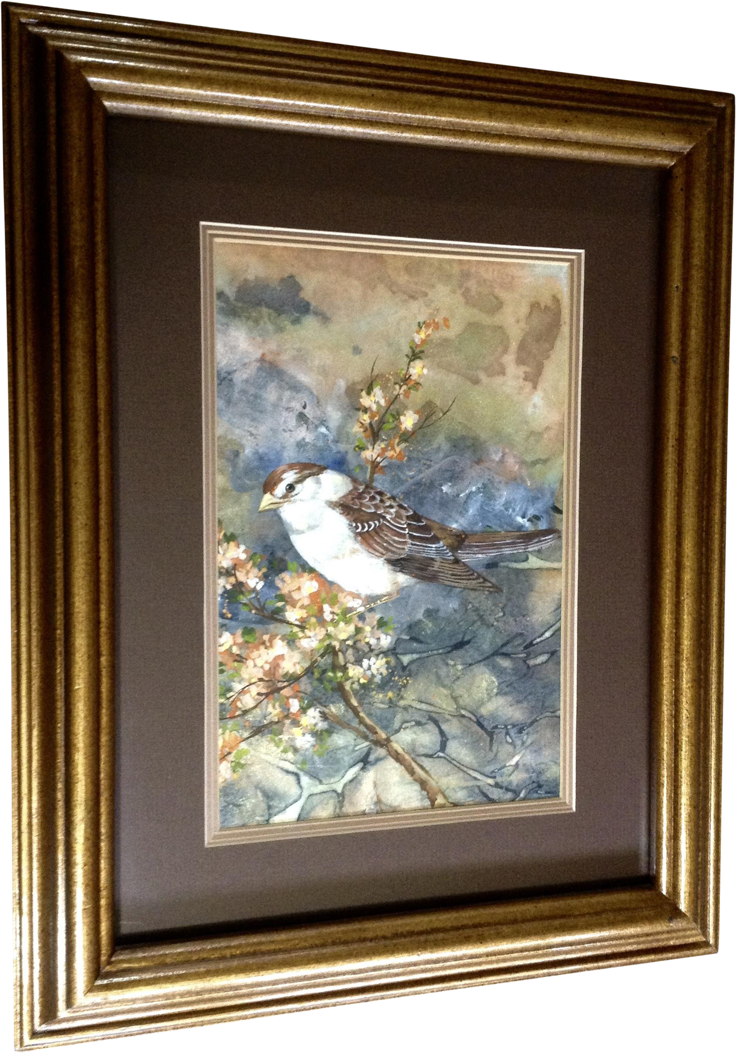 Cecelia Cece Or Cee Rodriguez Watercolor Painting Sparrow - Watercolor Painting (2048x2048), Png Download