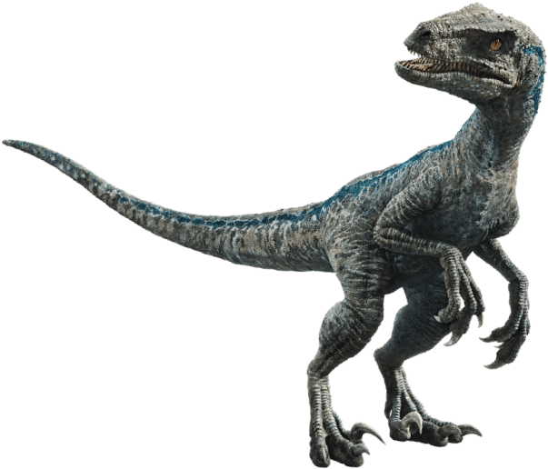 Jurassic Park Wiki - Blue Jurassic World Png (674x541), Png Download