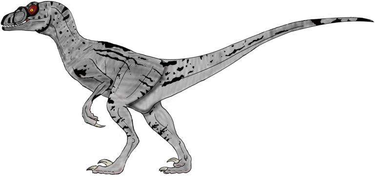 Jurassic Park 3 Female Velociraptor Drawing - Jurassic Park Raptor Drawing (900x431), Png Download