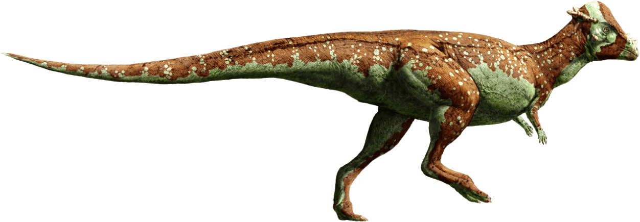 Pachycephalosaurus - Fallen Kingdom Stegosaurus Jurassic World (1600x535), Png Download