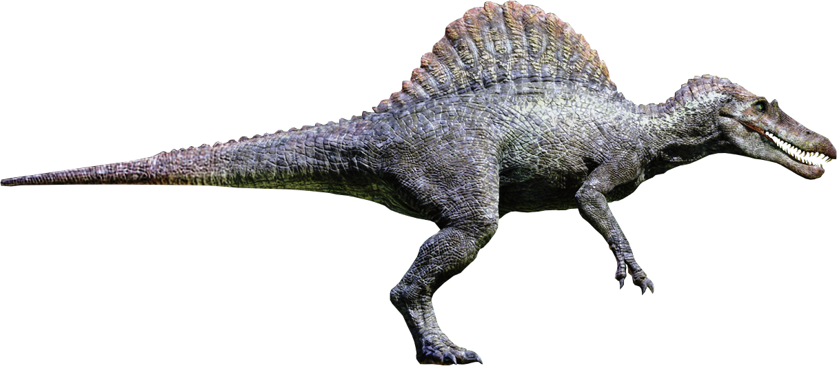 Vgotmzc - Jurassic World Spinosaurus (1214x531), Png Download