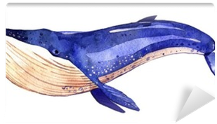 Watercolor Whale, Hand Painted Illustration Isolated - Ballena Sobre Fondo Blanco (400x400), Png Download
