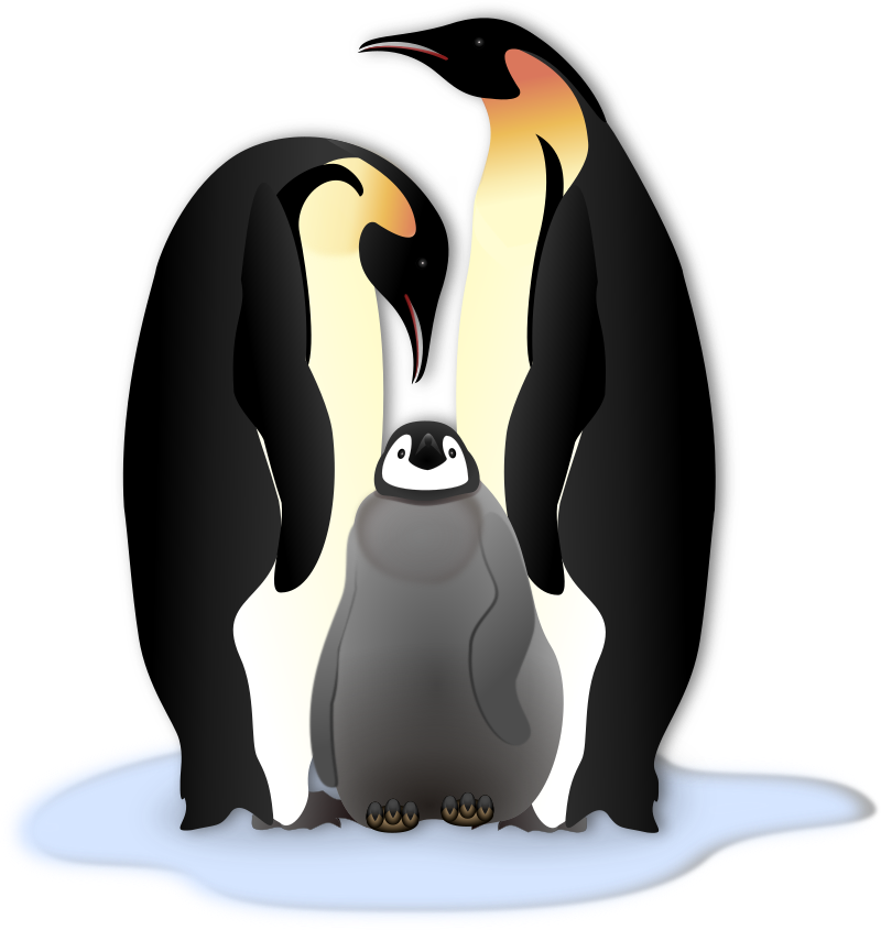 Penguin Family Svg Clip Arts 564 X 596 Px (564x596), Png Download