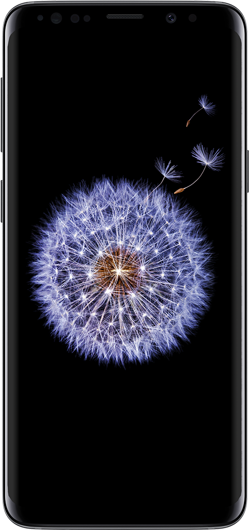 Samsung Galaxy S9 - Galaxy S9 (1200x1200), Png Download