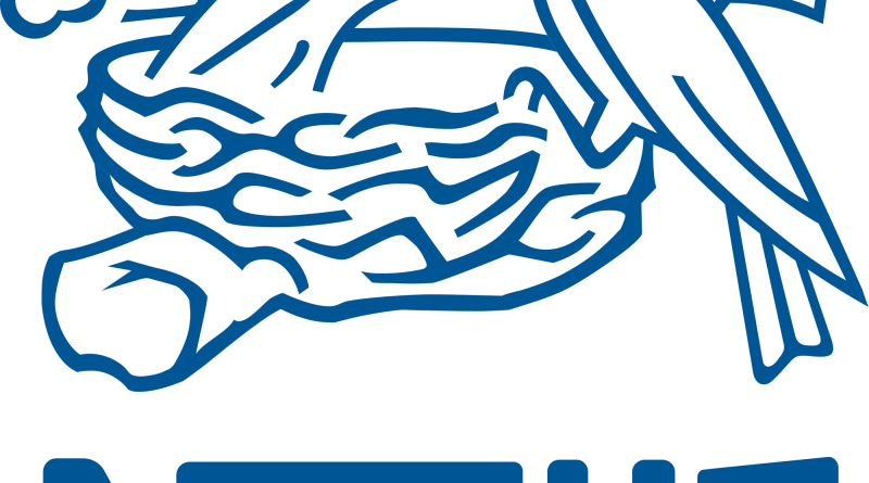 Nestlé Nigeria, Chefs Collaborate To Promote Good Nutrition - Nestle Professional Nestle White Chocolate Chips 25 (800x445), Png Download