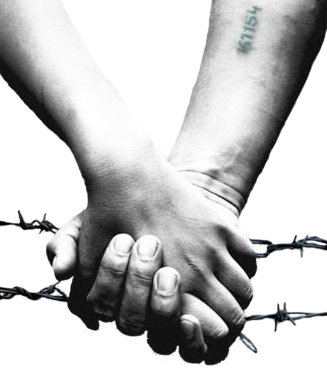 Hhc Logo - Helping Hand Coalition (327x372), Png Download