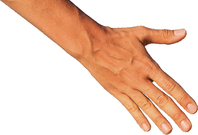 Transparent Hand Down (692x474), Png Download