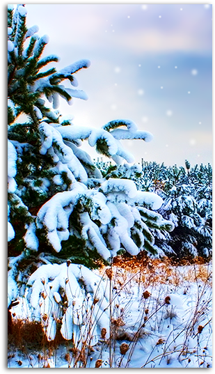 Snow Wallpaper Big - Mobile Phone (485x550), Png Download