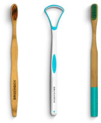 Straight - 2018 (480x480), Png Download