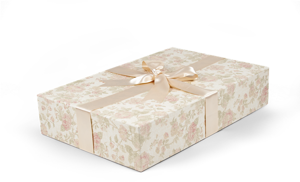 Keep Your Wedding Dress Safe With A Bridal Box From - Wedding Dress (600x399), Png Download