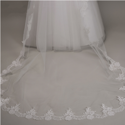 Classic Embroidery Lace Soft Tulle Cathedral Length - Veil (422x571), Png Download