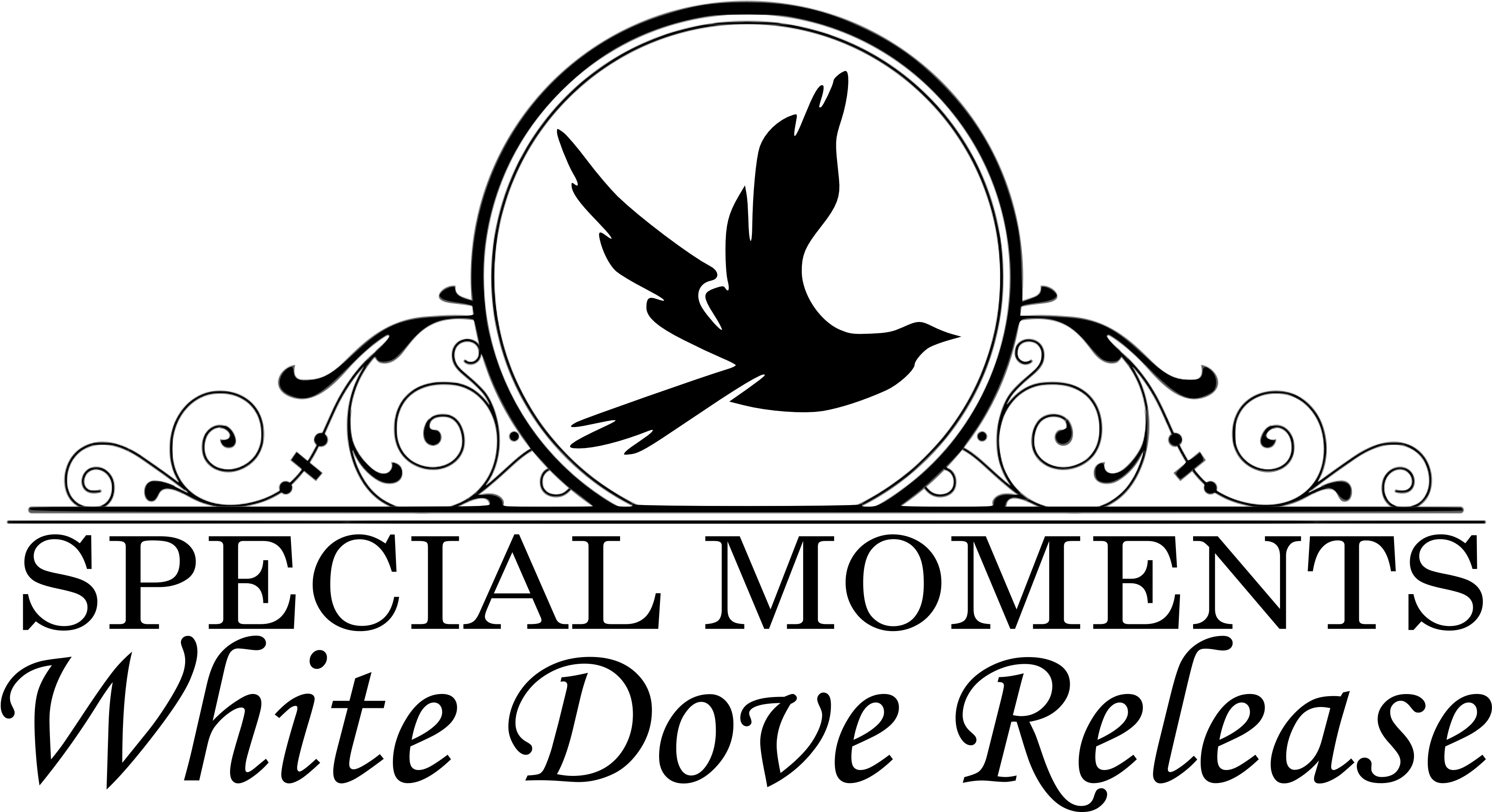 Love My Flute Pillow Case (3604x1967), Png Download