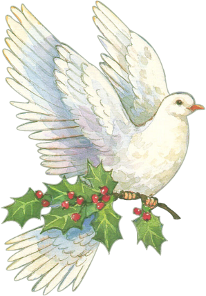 White Dove Clipart Christmas - Christmas Dove Clip Art (298x429), Png Download