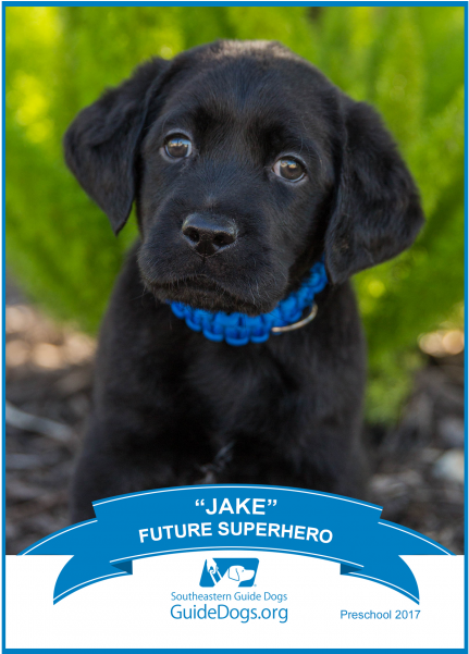 Southeastern Guide Dogs (600x600), Png Download