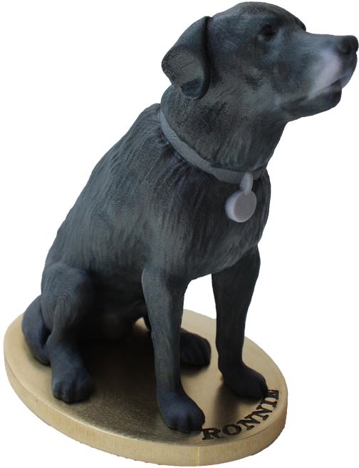 A Unique Sculpture Of Your Labrador - Labrador Retriever (577x808), Png Download